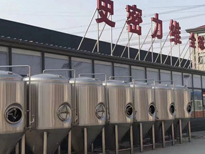河源精酿啤酒设备厂—市场规模与跨界新需求
